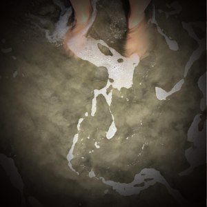 Meet your Posher, Bill